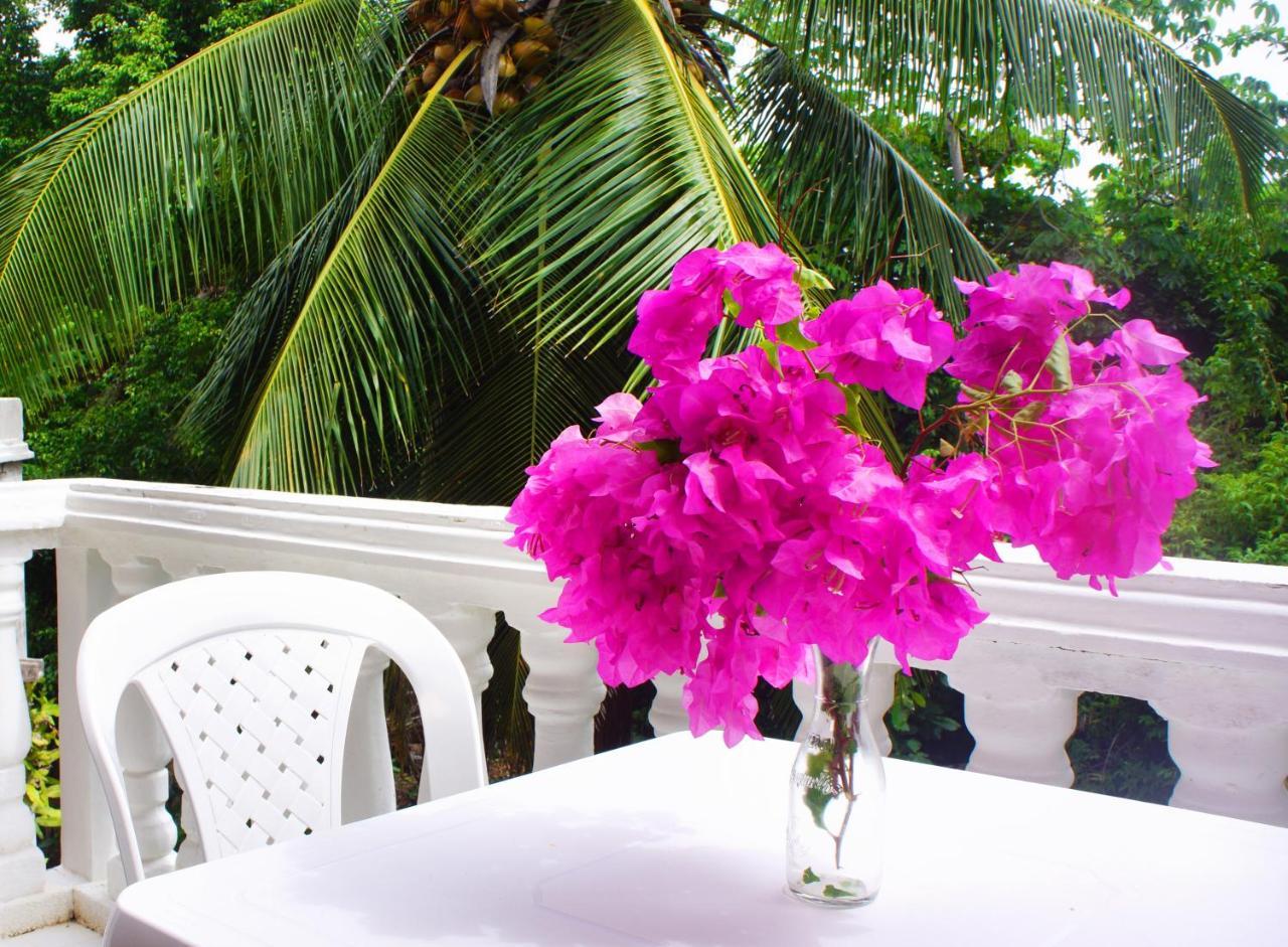 Casa De Las Flores Tropical Hotel San Andrés Exterior photo